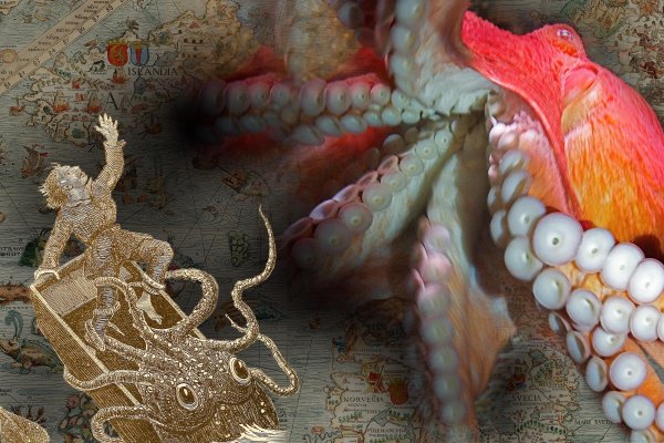 Пользователь не найден kraken