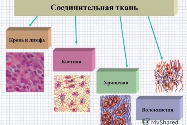 Кракен даркнет kraken014 com