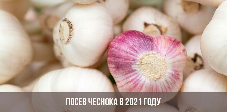 Кракен рынок сайт